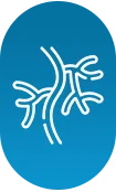 fig-vascularanomalies