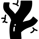 vein