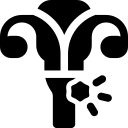 uterine